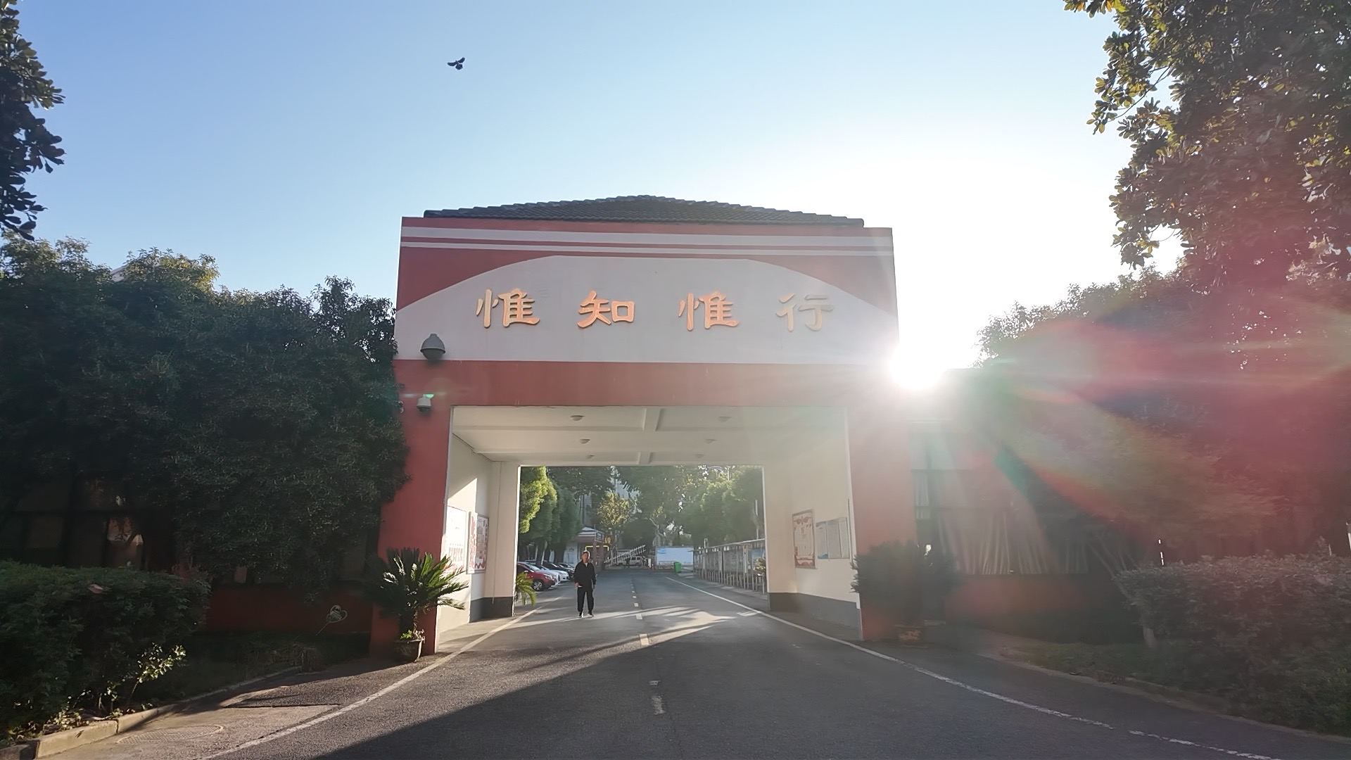 致绍外2025届高三毕业生 | 关于积极参与浙江省高校大一新生体质健康测试的倡议